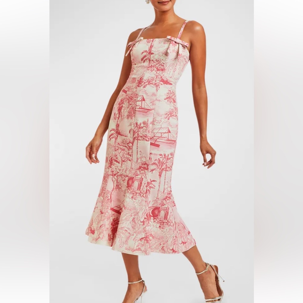 Mestiza New York Calista Midi Dress 10 Pink/Ivory Tropical Toile NWT - Picture 2 of 15